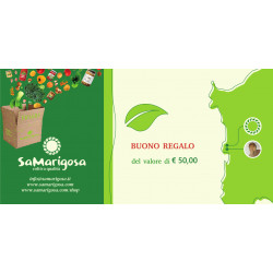 BUONO REGALO € 50