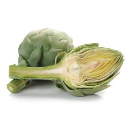 Madrigal Artichoke