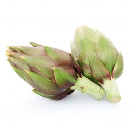 Sardinian spiny artichoke