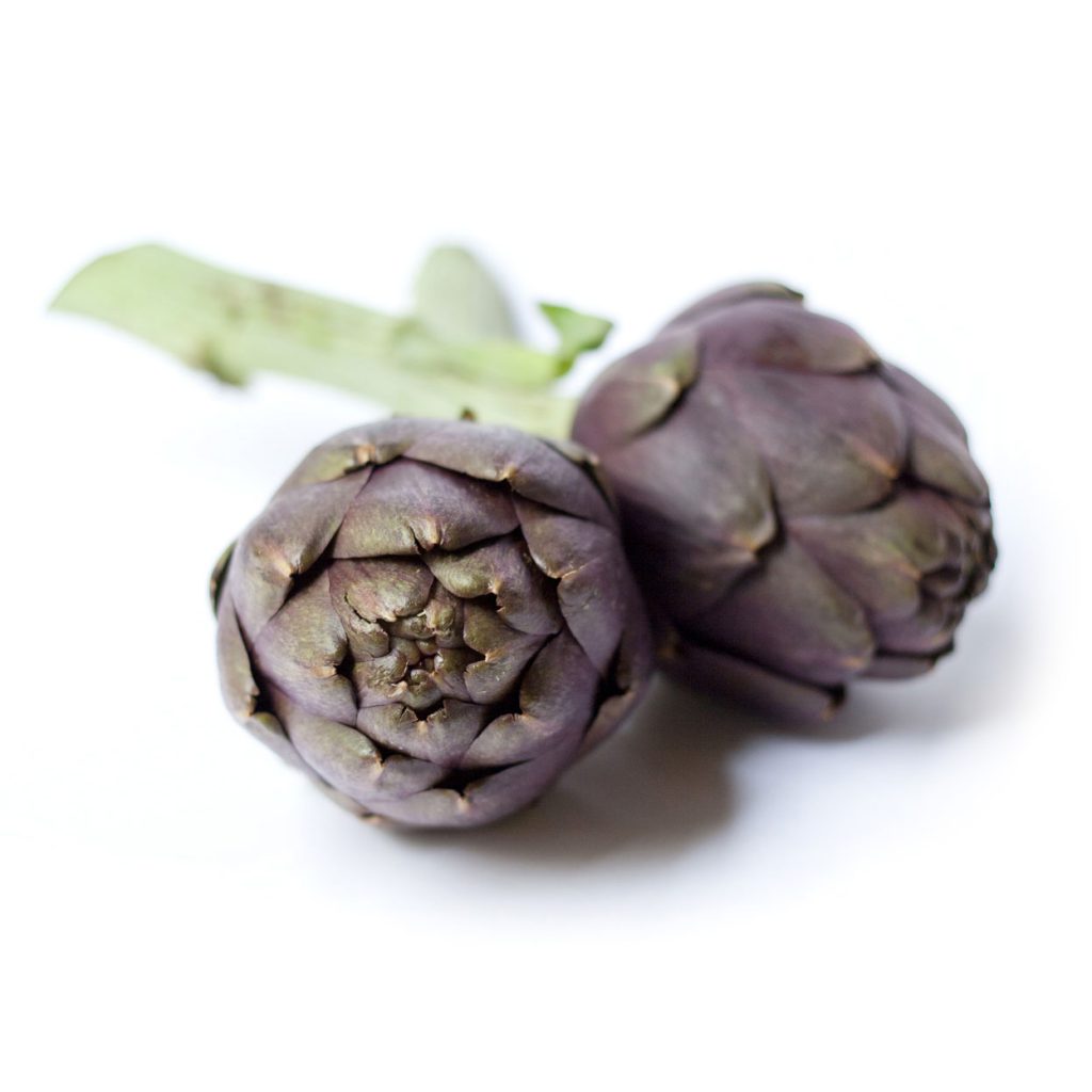 Terom Artichoke