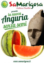 Sa Marigosa presenta la nuova Anguria senza Semi!