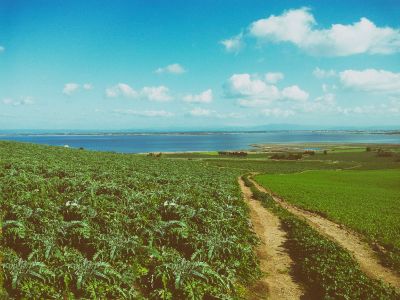 <span class="titoloSezione">Sa Marigosa</span>
<p class="payoffSezione">coltiva qualità</p>